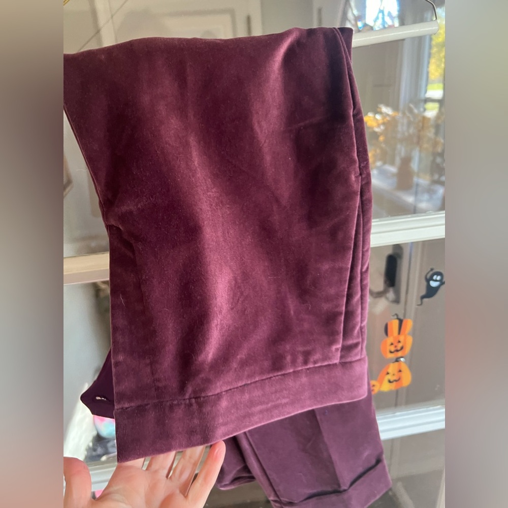 Plum Velvet Ankle Pants NWT